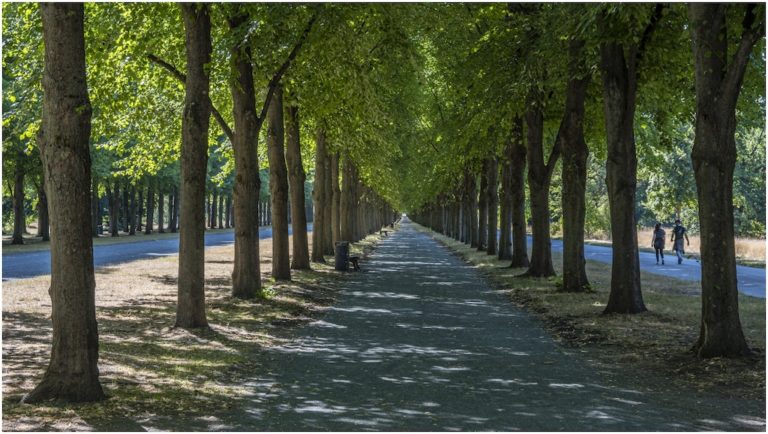 505_Uwe_Herrenhäuser Allee