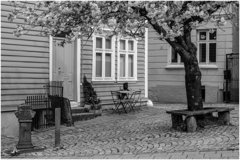 Platz 17_106_Uwe Schinkel_Bergen-1