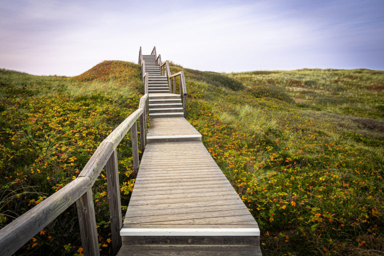 Wiebke Strebel_Auf zum Strand